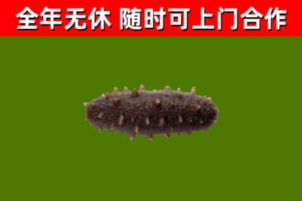 乌鲁木齐烟酒回收干海参.jpg